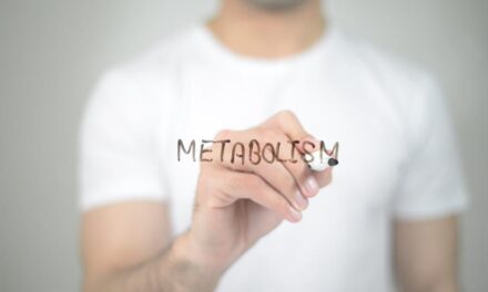 Medical Myth: ‘My Slow Metabolism Makes Me Fat’