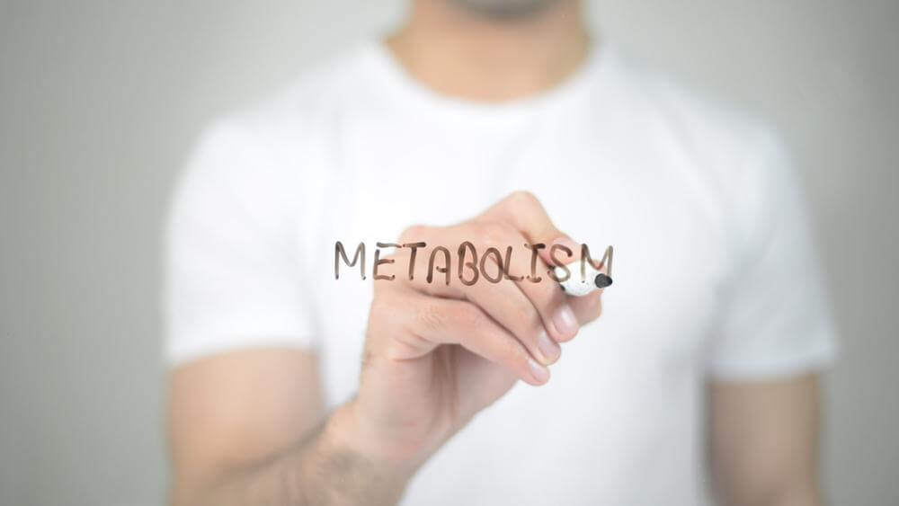 Metabolism