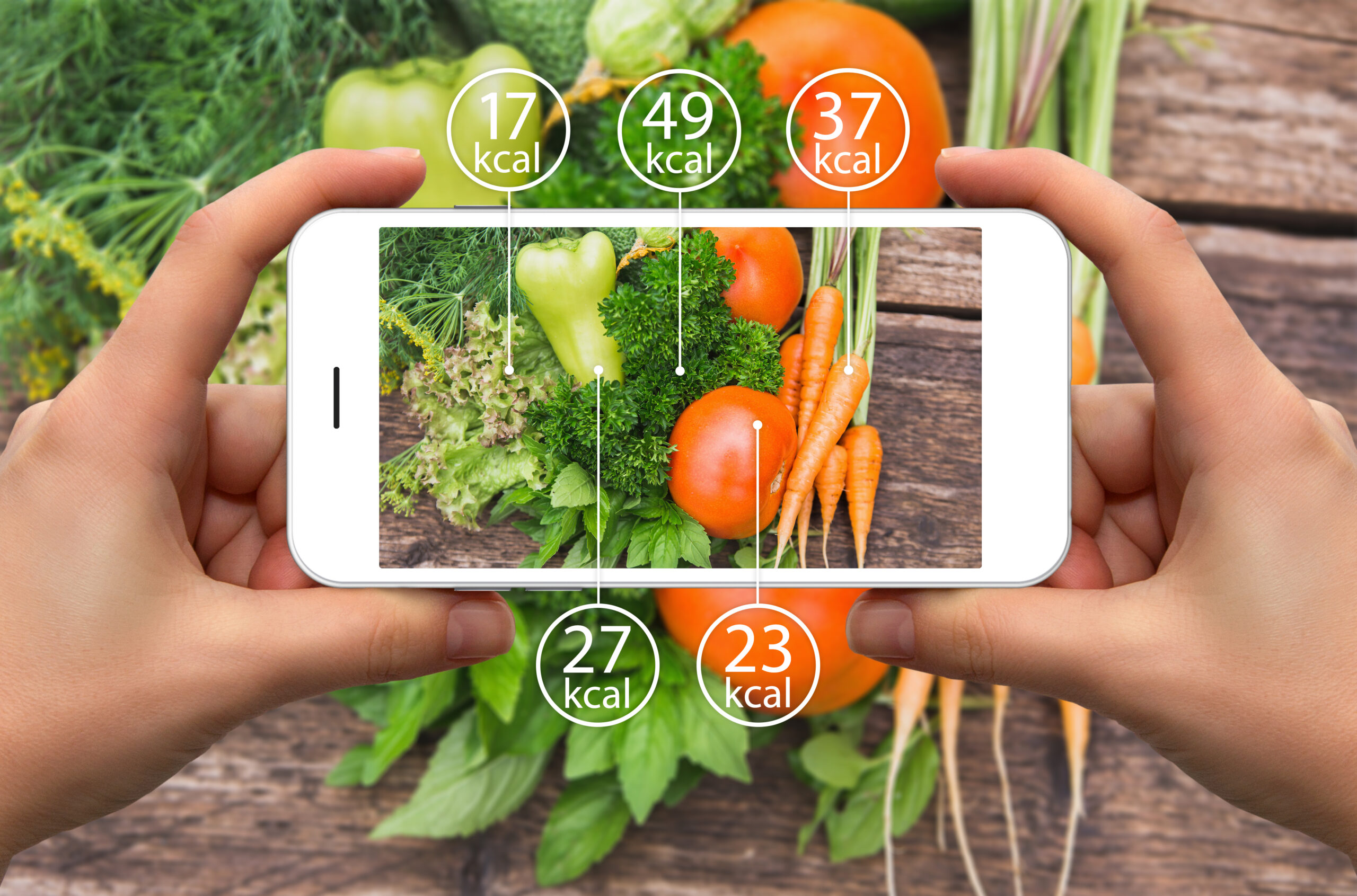 app counting calories of healthy meal