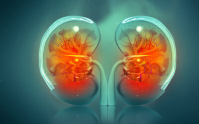 Artificial Kidneys Are a Step Closer With This New Tech