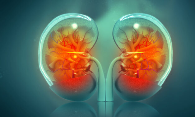 Artificial Kidneys Are a Step Closer With This New Tech