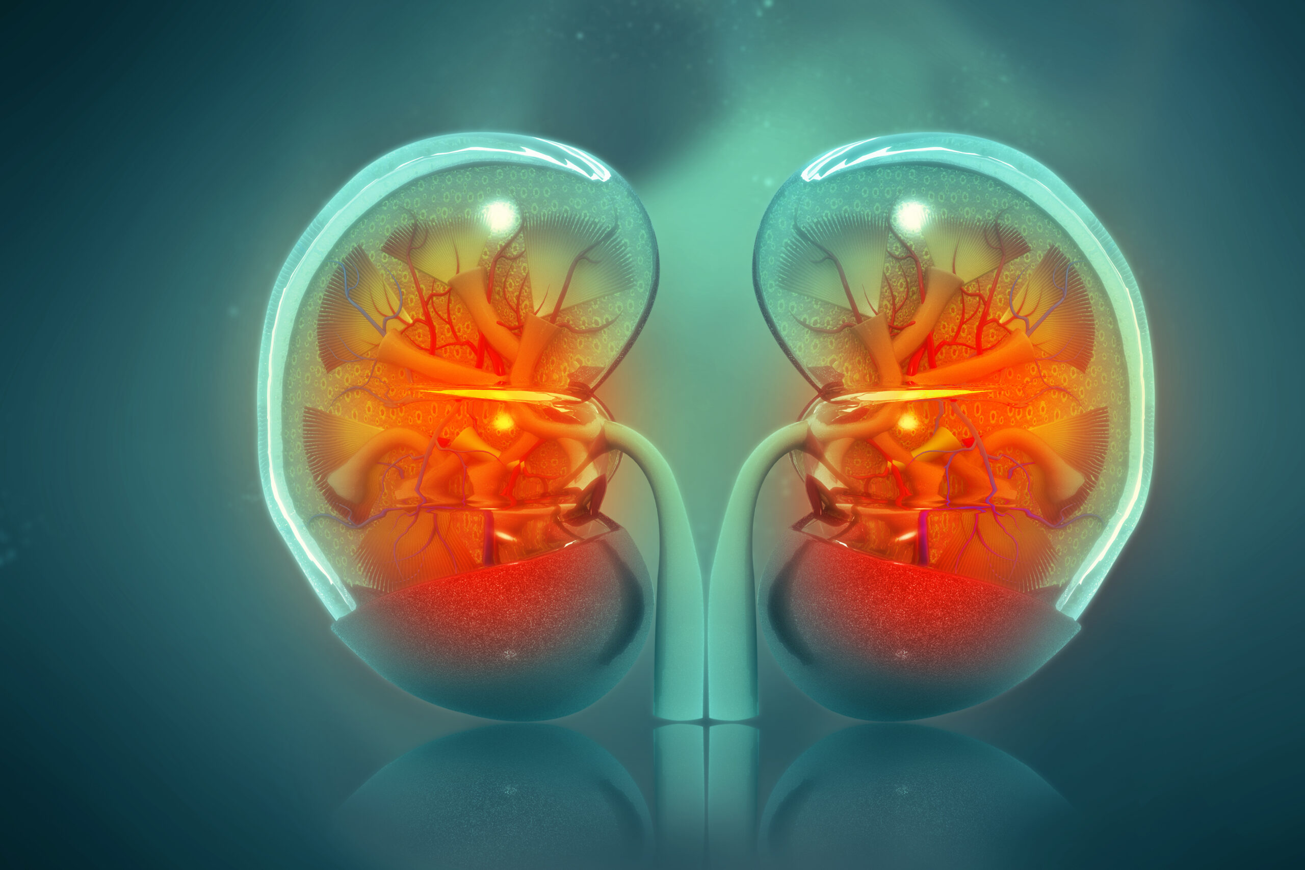 healthy kidneys for the future