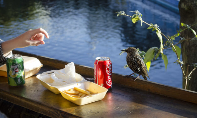 Hunger Hormone May Shed Light On Overeating