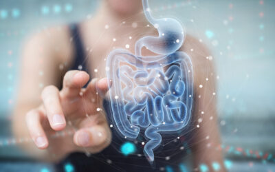 What Does It Mean to Have a Healthy Gut?