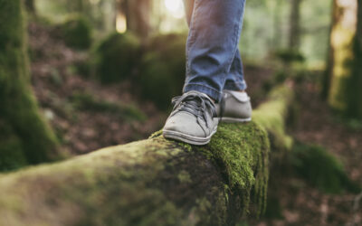 The (Stress Busting, Mood Lifting, Immune Boosting) Power of Walking in Nature