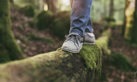 The (Stress Busting, Mood Lifting, Immune Boosting) Power of Walking in Nature
