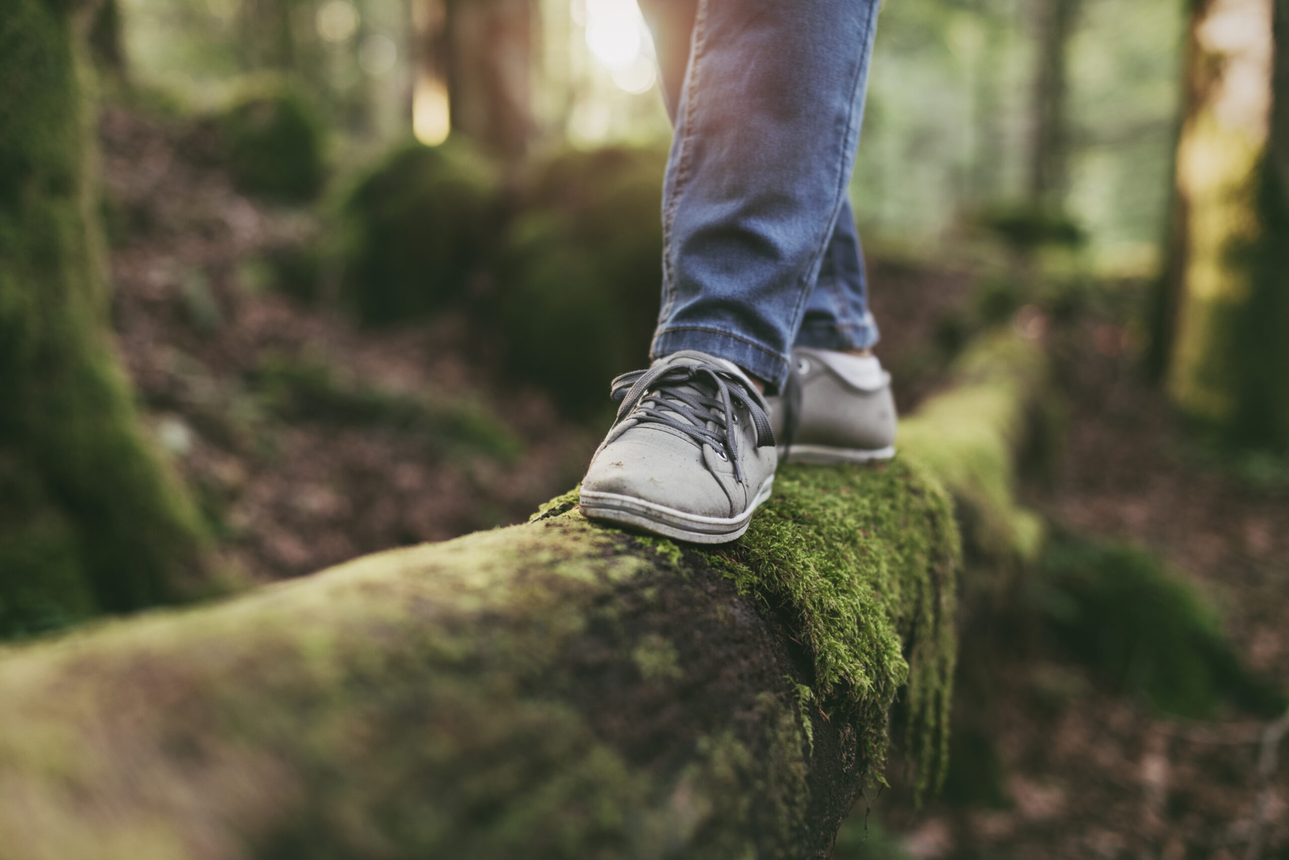 Woman walking on a log in the forest and balancing: physical exercise, healthy lifestyle and harmony concept