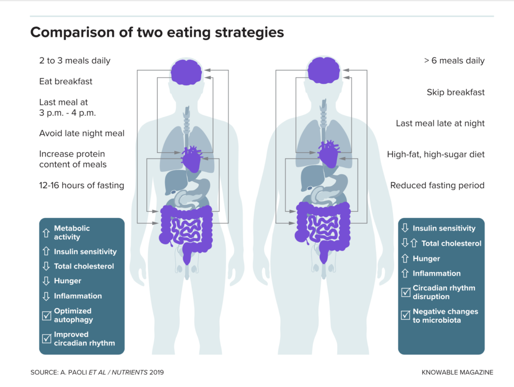 Comparison graphic of two eating models 