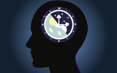 Circadian Rhythm: Liver Gene Helps Body Keep Working Smoothly After Late Nights And Midnight Snacks