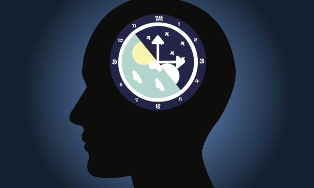 Circadian Rhythm: Liver Gene Helps Body Keep Working Smoothly After Late Nights And Midnight Snacks